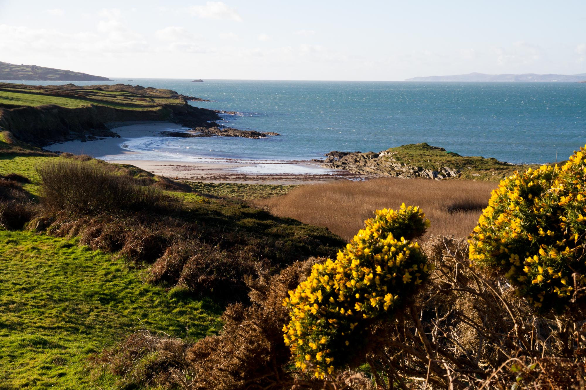 Sherkin Island | West Cork's Island of the Arts